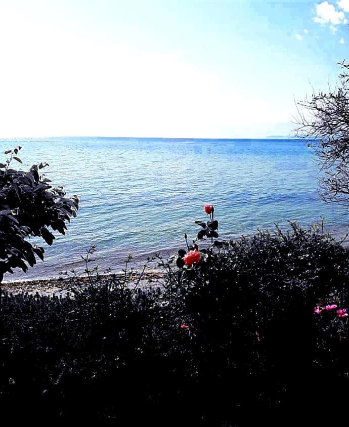 Mare Nostrum Neos Marmaras Esterno foto